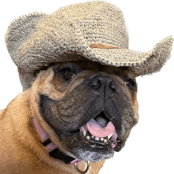 :cowdog: